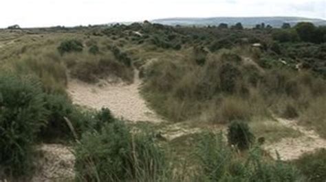 <b>Studland</b> IS (or was) a great beach. . Studland dunes my wife sex